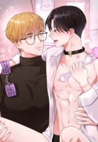 Cover 82036