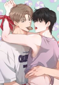 Cover 82042