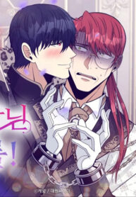 Cover 82043