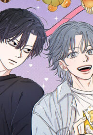 Cover 82049