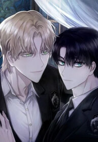 Cover 82053