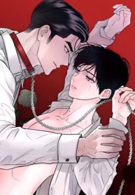 Cover 82055