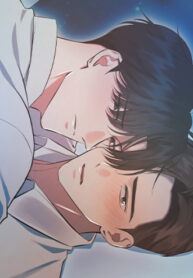 Cover 82056