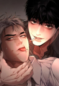 Cover 82065