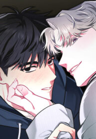 Cover 82066
