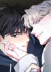 Cover 82066
