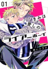 Cover 82072