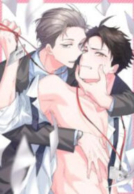 Cover 82088