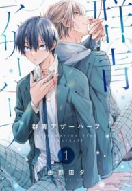 Cover 82089