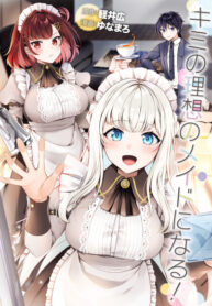 Cover 82095