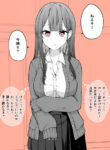 Cover 82260