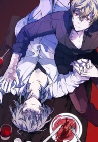 Cover 82324