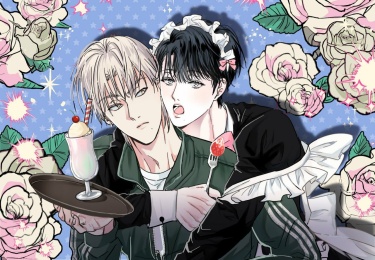 Cover 82375