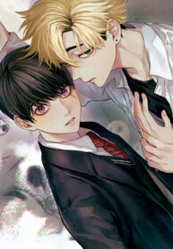 Cover 82380
