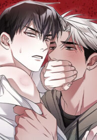 Cover 82381
