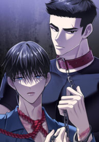 Cover 82384