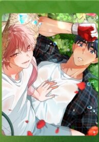 Cover 82419