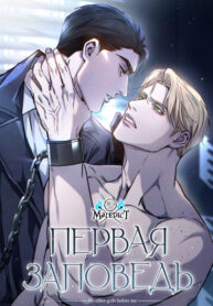 Cover 82430
