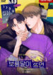 Cover 82433