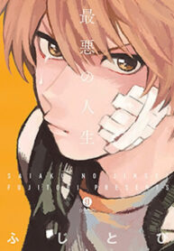 Cover 82527