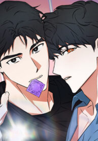 Cover 82666