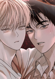 Cover 82728