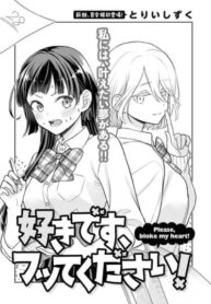 Cover 82736