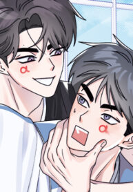 Cover 82739