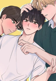 Cover 82746