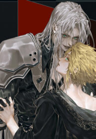 Cover 82764
