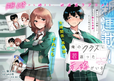 Cover 82853
