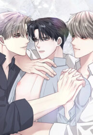 Cover 82999