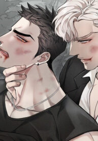 Cover 83031