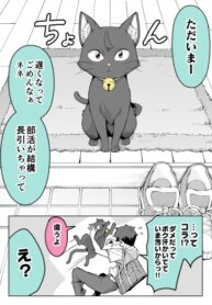 Cover 83098