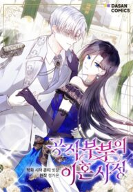 Cover 83267