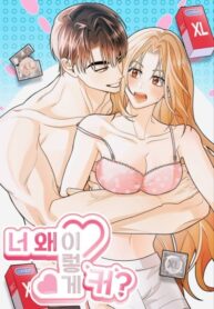 Cover 83344