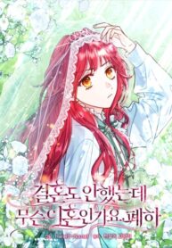 Cover 83855