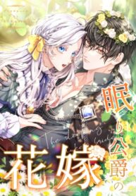 Cover 84001