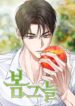 Cover 84148