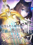 Cover 84160