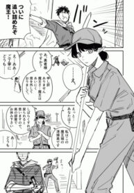 Cover 84206