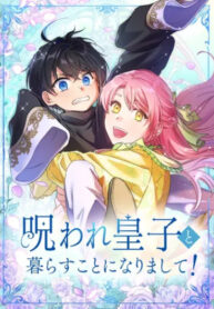 Cover 84212