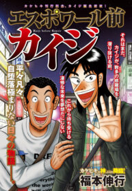Cover 84228