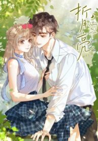 Cover 84238