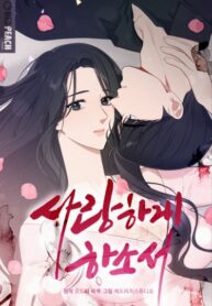 Cover 84254