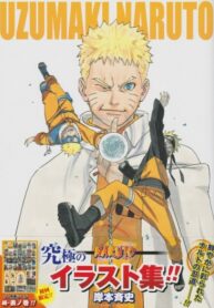 Cover 84468