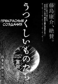 Cover 84486