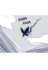 Cover 84564