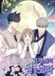 Cover 84584