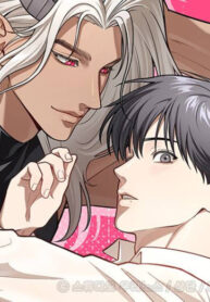Cover 84624